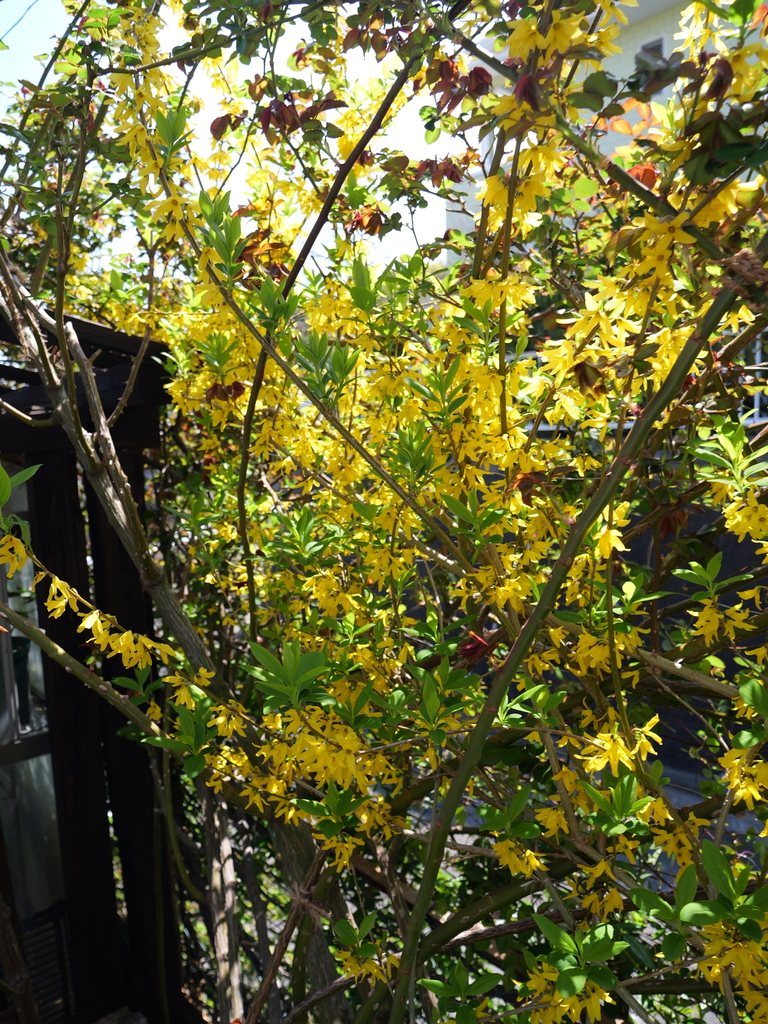 2025-04-04 12_32№(0392).JPG
