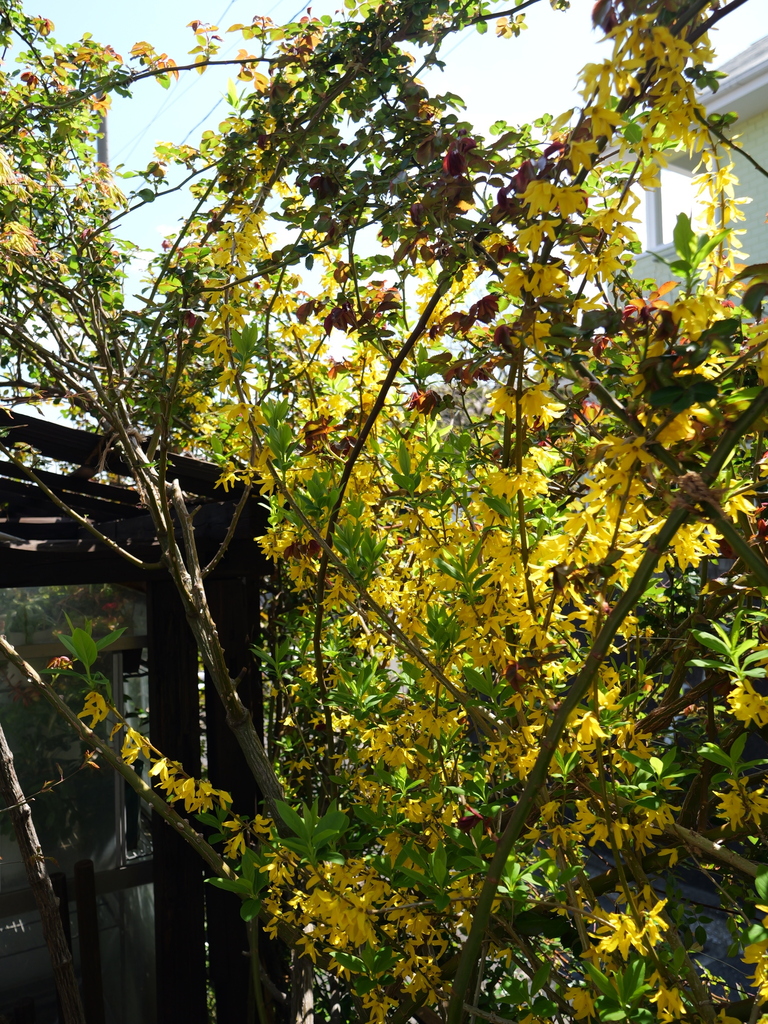 2025-04-04 12_32№(0393).JPG