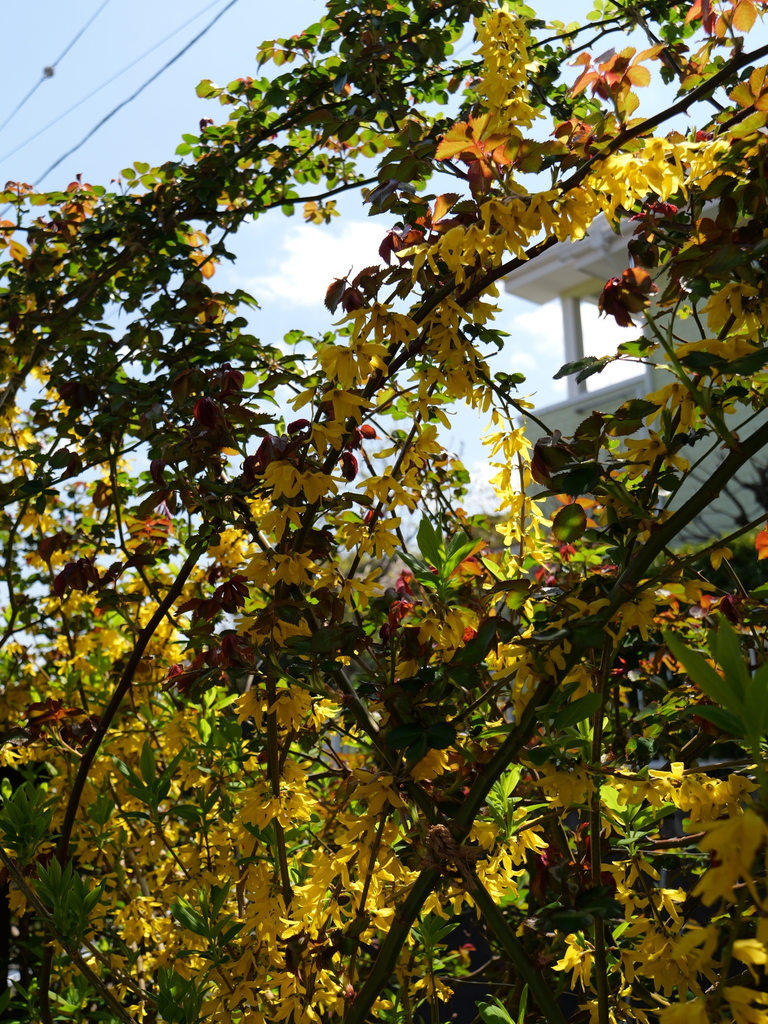 2025-04-04 12_32№(0395).JPG