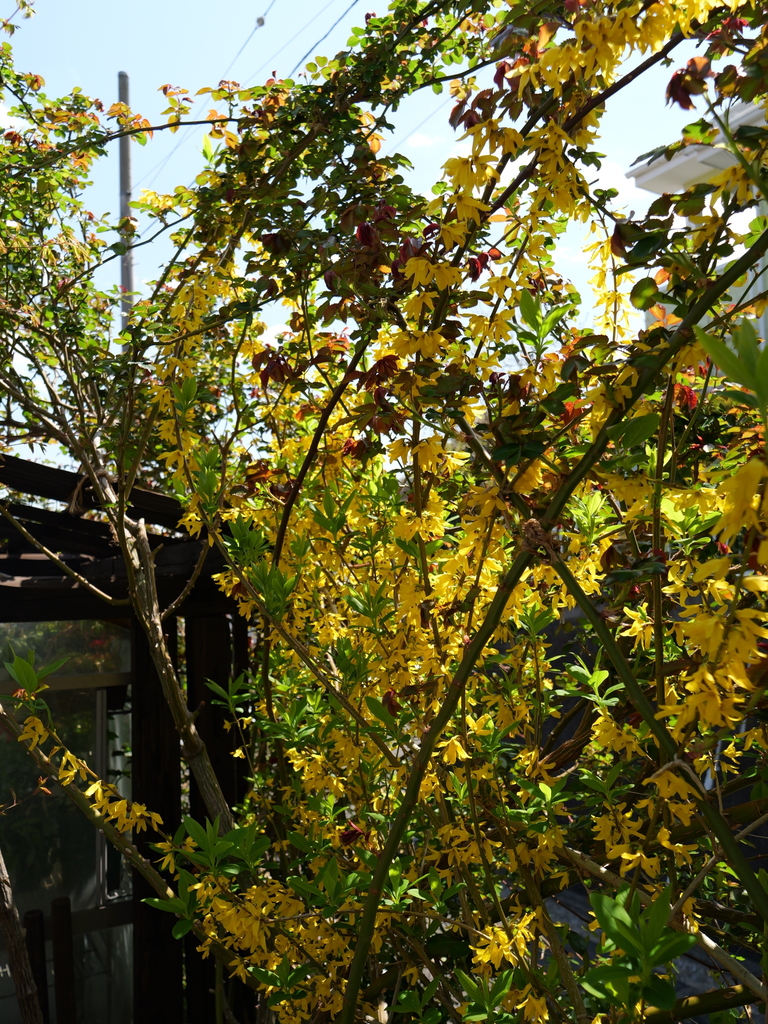 2025-04-04 12_32№(0396).JPG