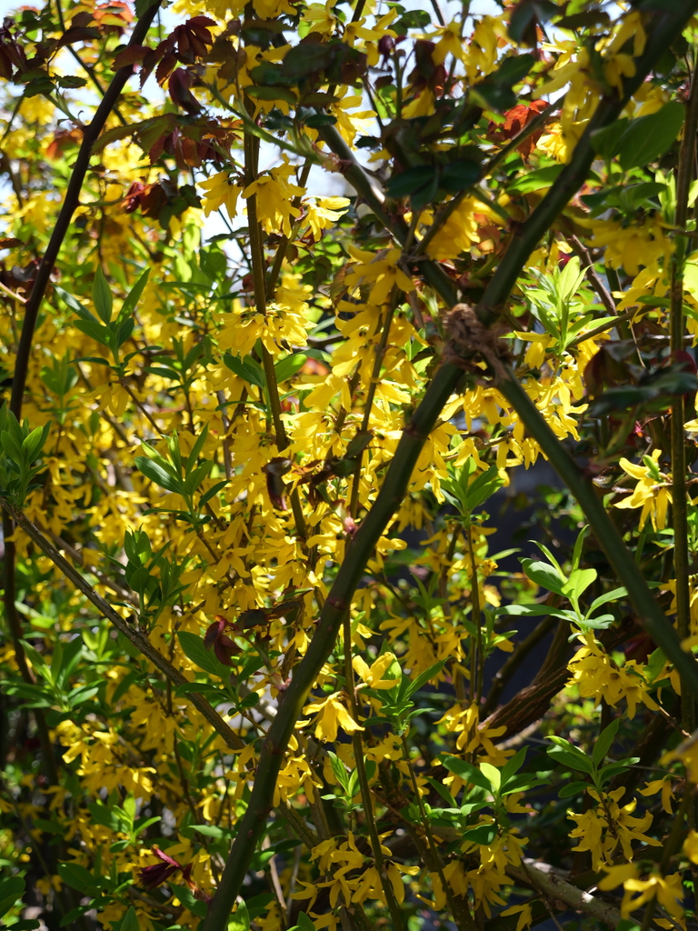 2025-04-04 12_32№(0397).JPG