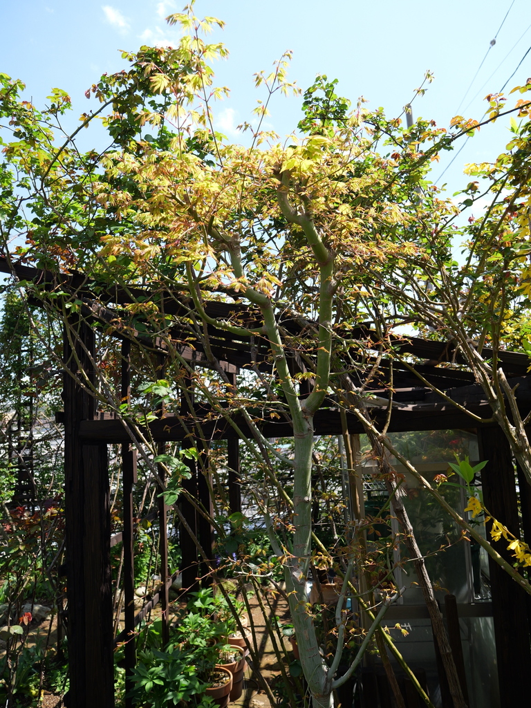 2025-04-04 12_32№(0398).JPG