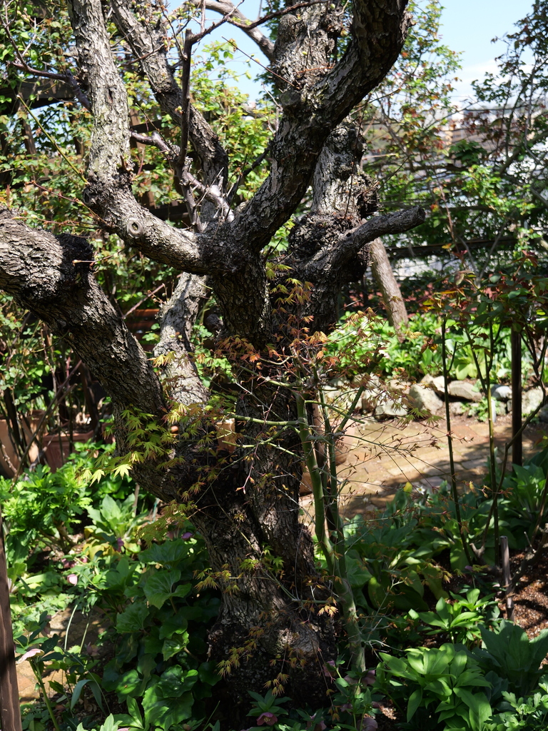 2025-04-04 12_32№(0403).JPG