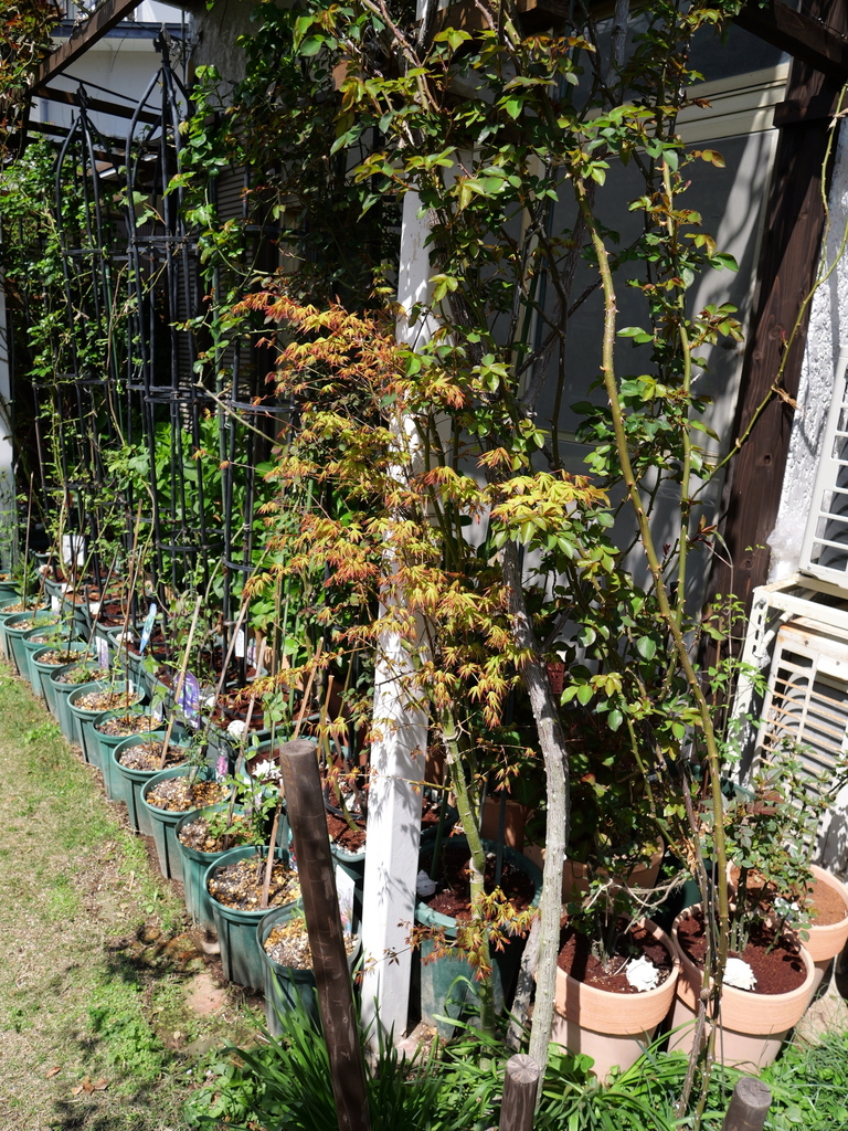2025-04-04 12_33№(0406).JPG