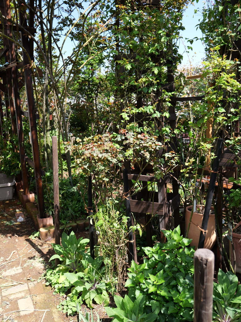 2025-04-04 12_33№(0415).JPG