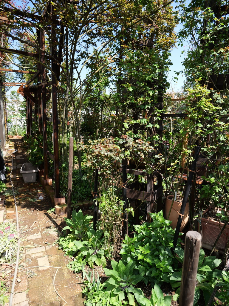 2025-04-04 12_33№(0416).JPG