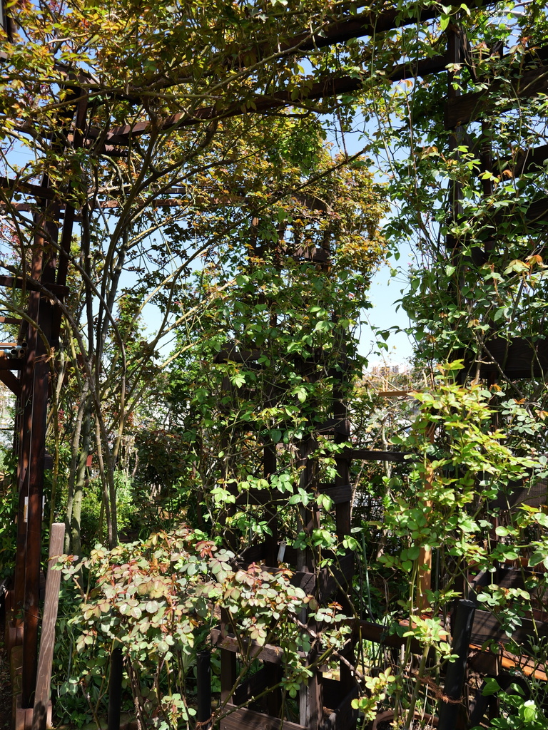 2025-04-04 12_33№(0421).JPG