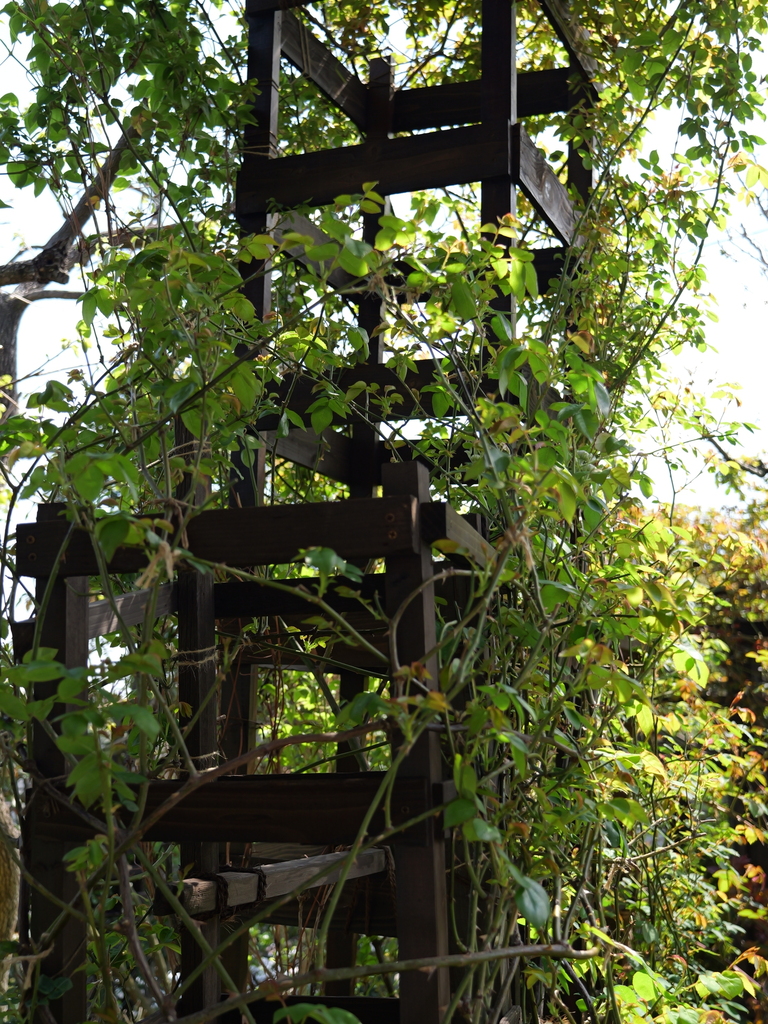 2025-04-04 12_33№(0423).JPG