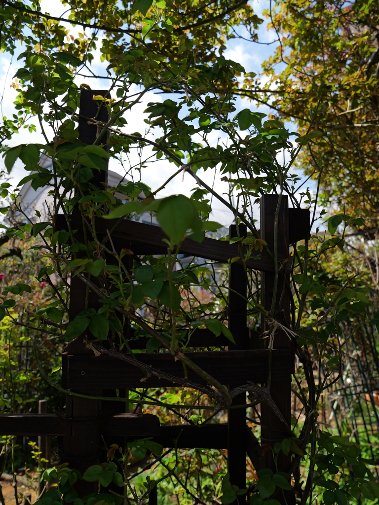 2025-04-04 12_33№(0424).JPG