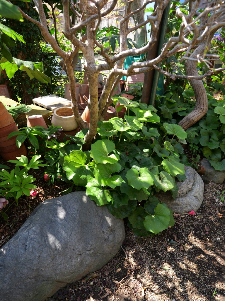 2025-04-04 12_34№(0439).JPG