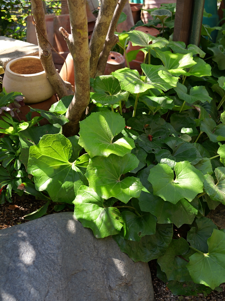 2025-04-04 12_34№(0440).JPG