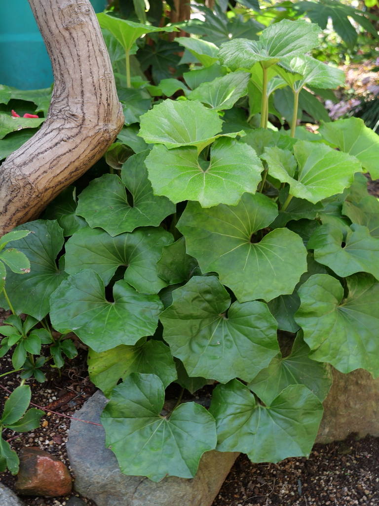 2025-04-04 12_34№(0441).JPG