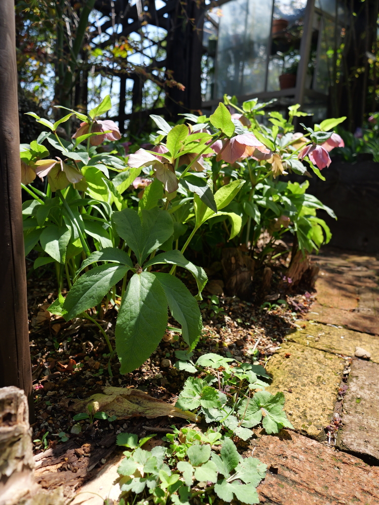 2025-04-04 12_34№(0443).JPG