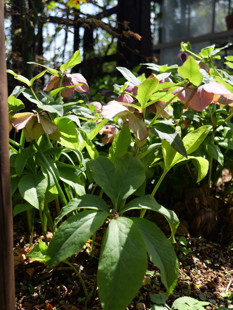 2025-04-04 12_34№(0444).JPG