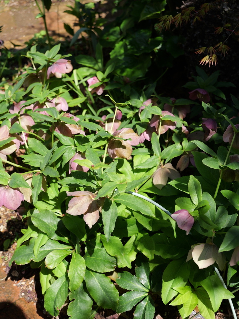 2025-04-04 12_34№(0446).JPG
