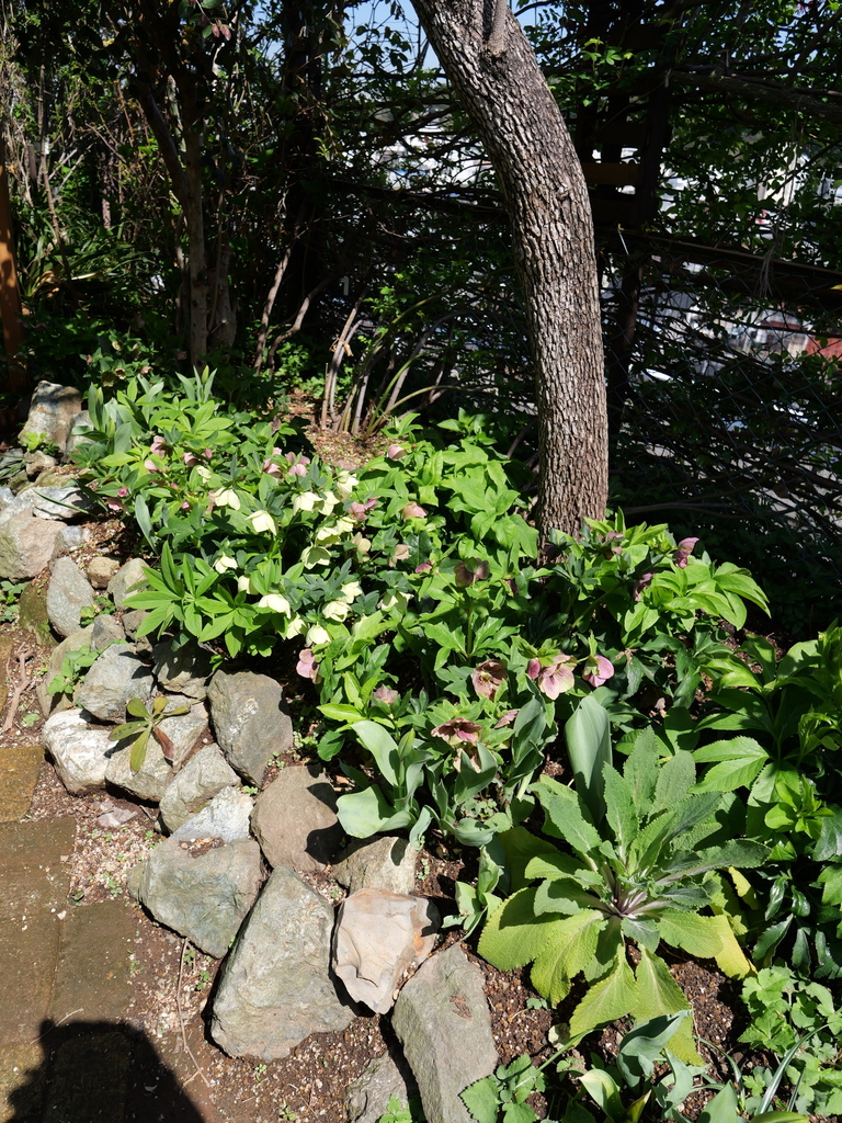 2025-04-04 12_35№(0447).JPG