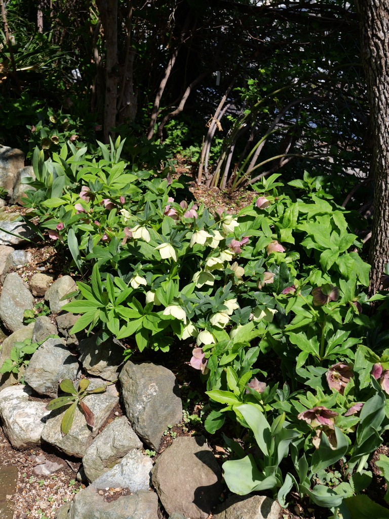 2025-04-04 12_35№(0448).JPG