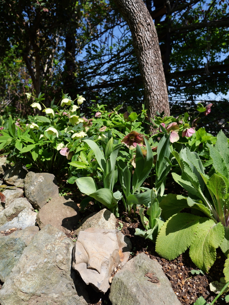 2025-04-04 12_35№(0449).JPG