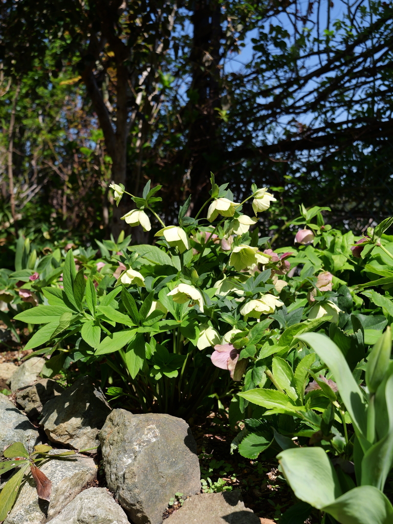 2025-04-04 12_35№(0450).JPG