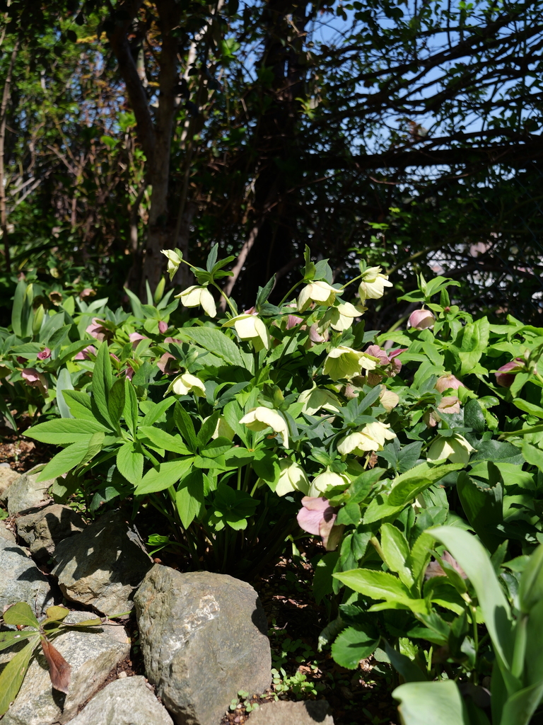 2025-04-04 12_35№(0451).JPG