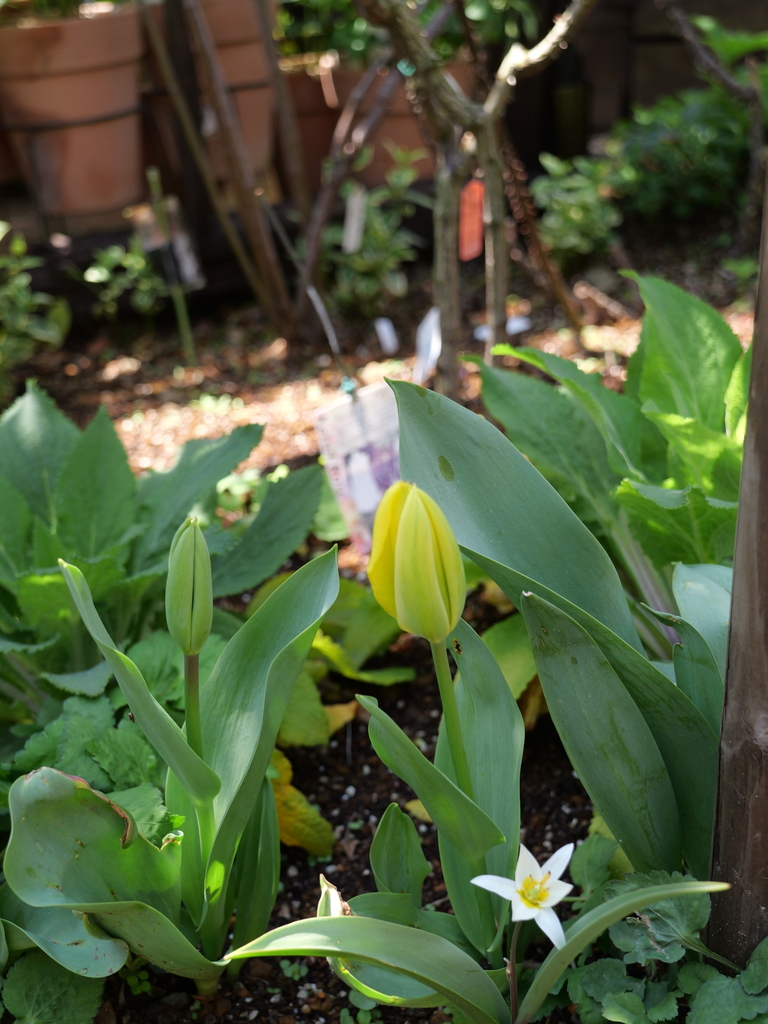 2025-04-04 12_35№(0452).JPG