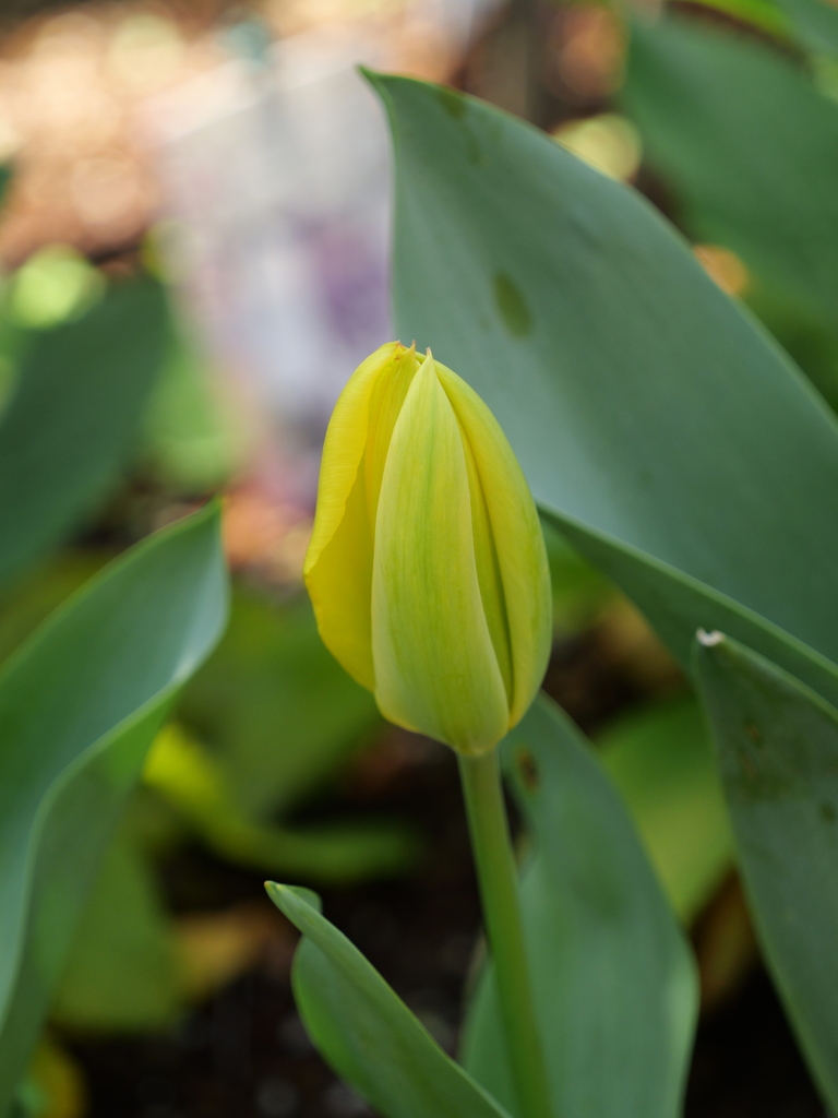 2025-04-04 12_35№(0453).JPG