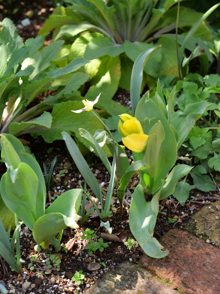 2025-04-04 12_35№(0455).JPG