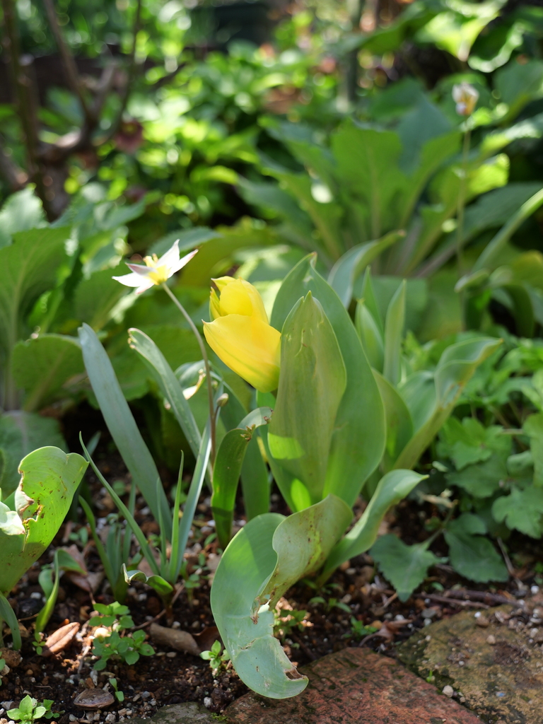 2025-04-04 12_35№(0457).JPG