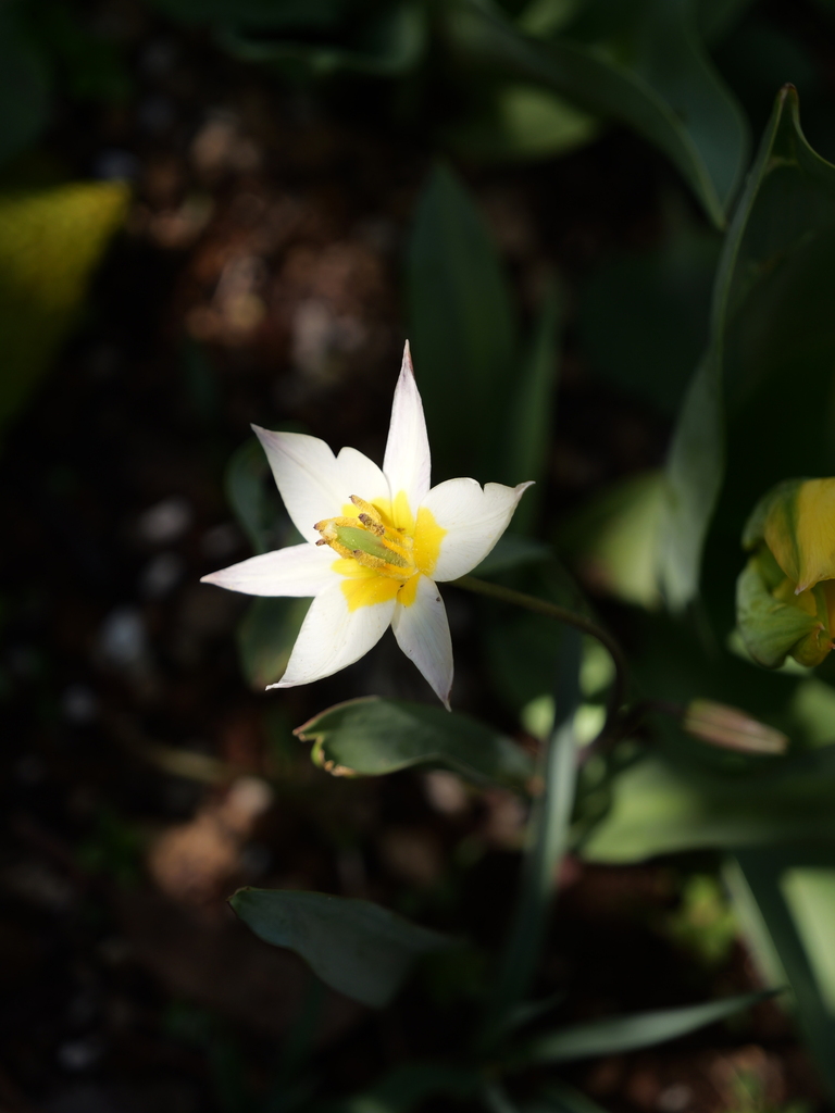 2025-04-04 12_35№(0459).JPG