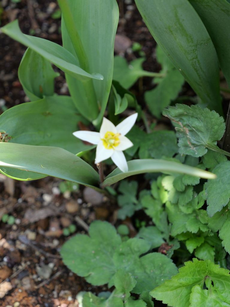 2025-04-04 12_35№(0460).JPG