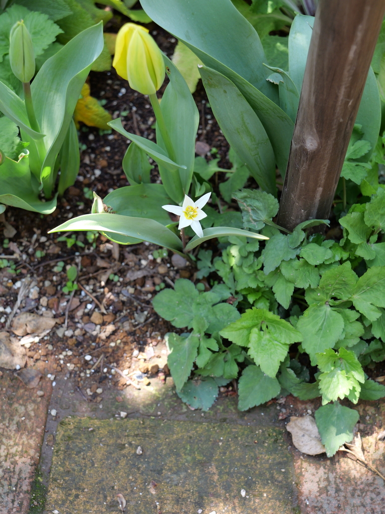 2025-04-04 12_35№(0461).JPG