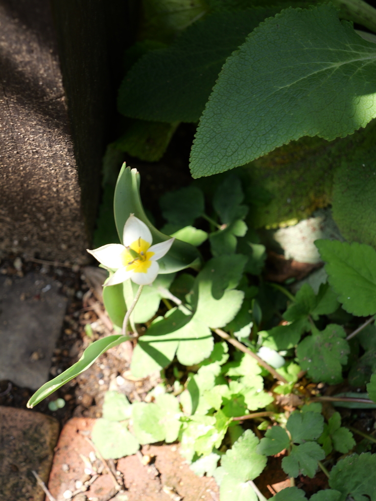 2025-04-04 12_35№(0465).JPG
