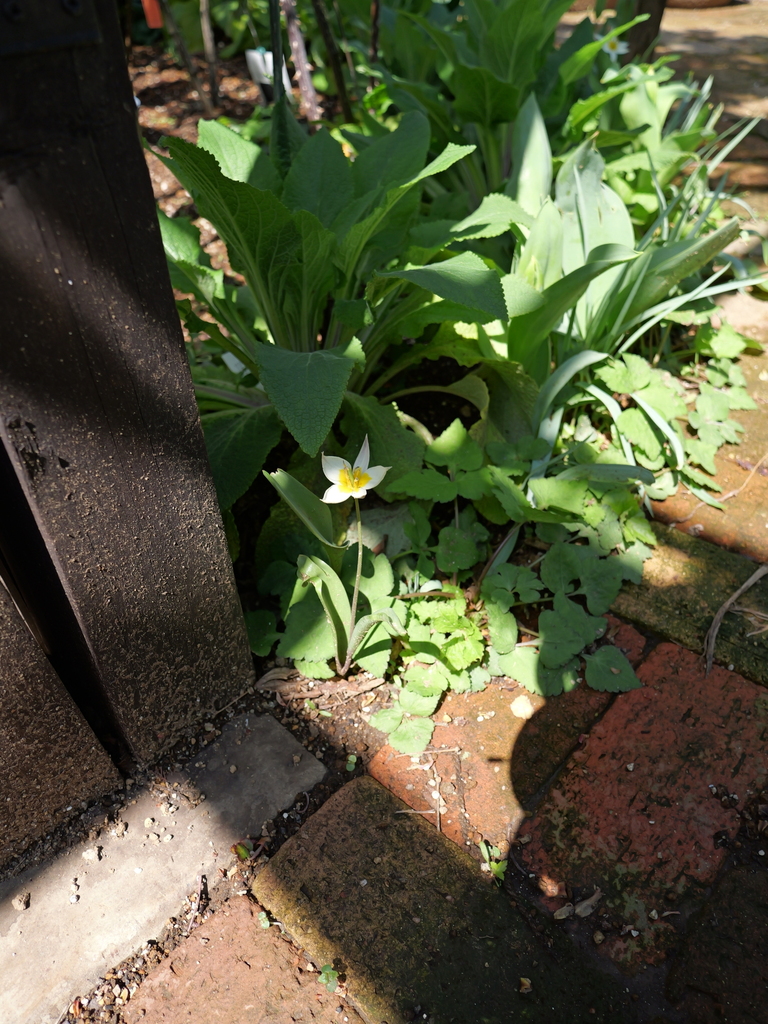 2025-04-04 12_35№(0466).JPG