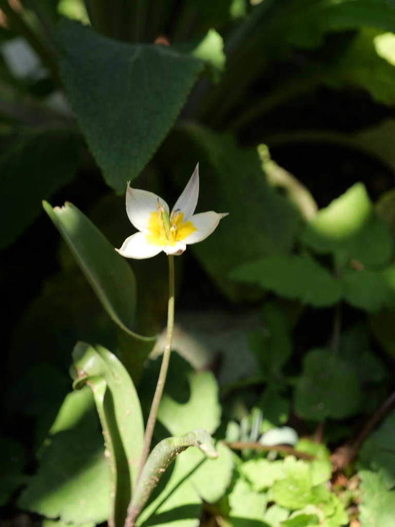2025-04-04 12_35№(0467).JPG
