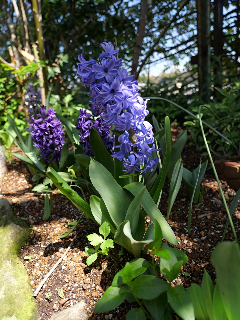 2025-04-04 12_36№(0476).JPG