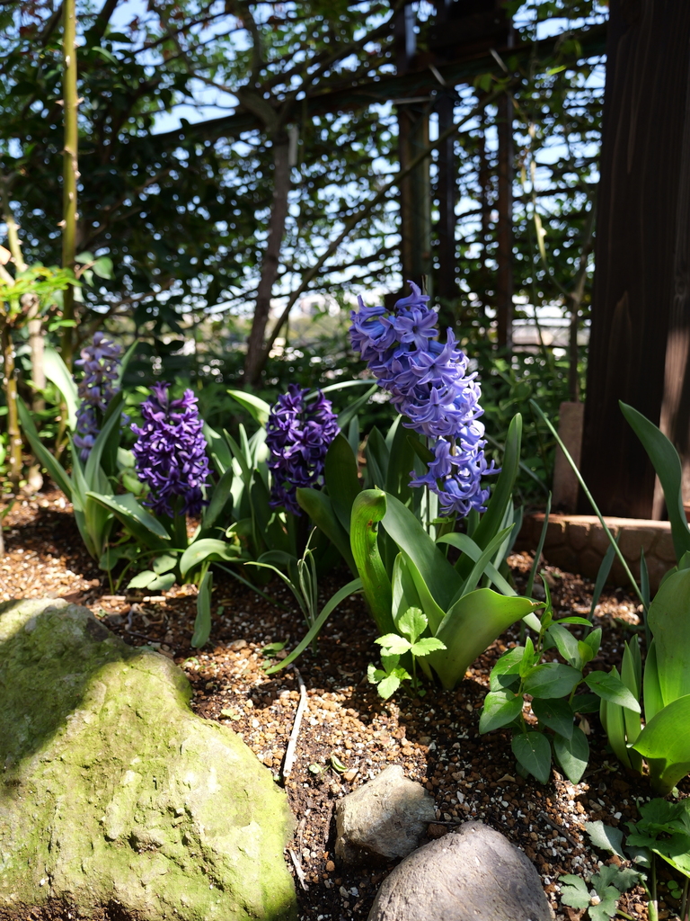 2025-04-04 12_36№(0477).JPG