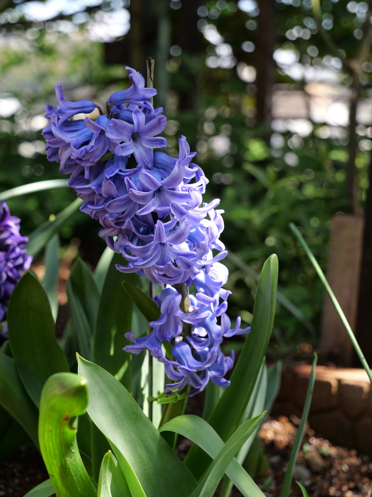 2025-04-04 12_36№(0478).JPG