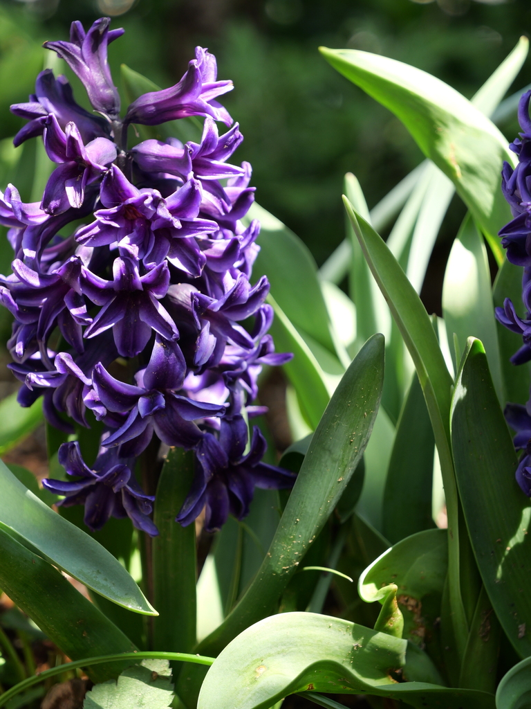 2025-04-04 12_36№(0483).JPG