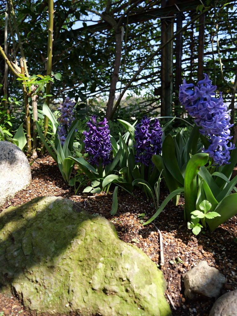 2025-04-04 12_36№(0485).JPG