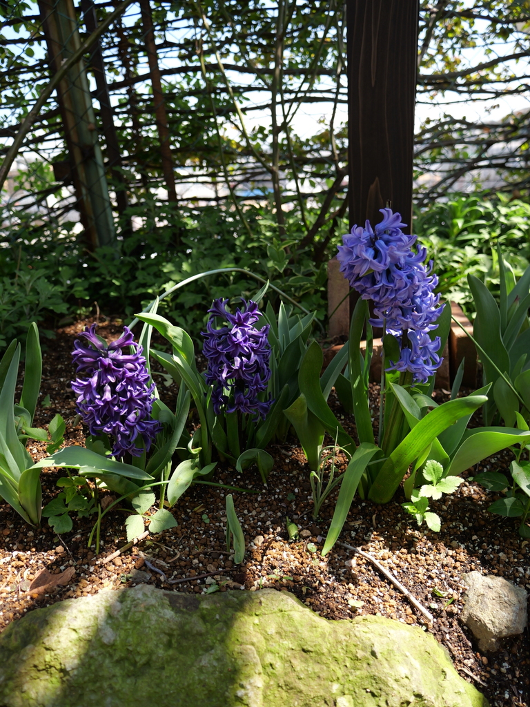 2025-04-04 12_36№(0489).JPG
