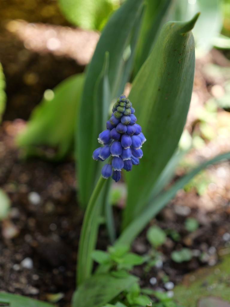2025-04-04 12_36№(0491).JPG