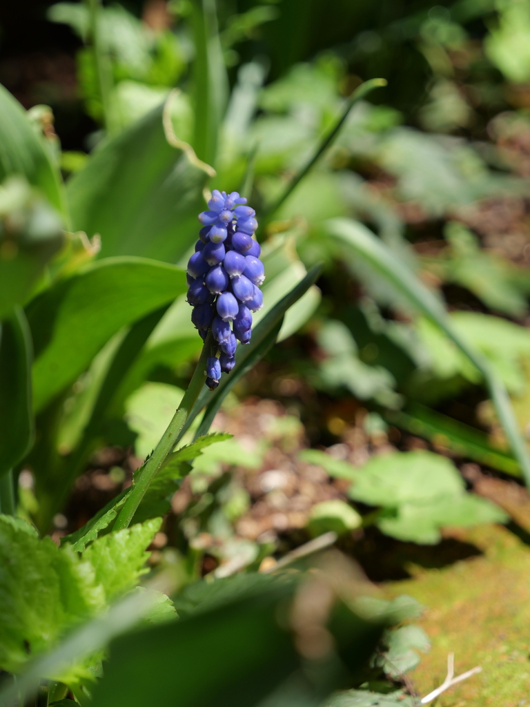 2025-04-04 12_37№(0492).JPG