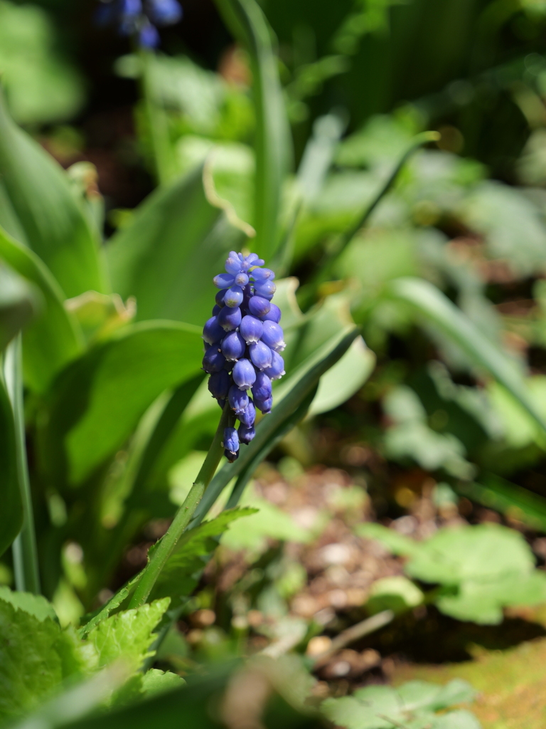 2025-04-04 12_37№(0493).JPG