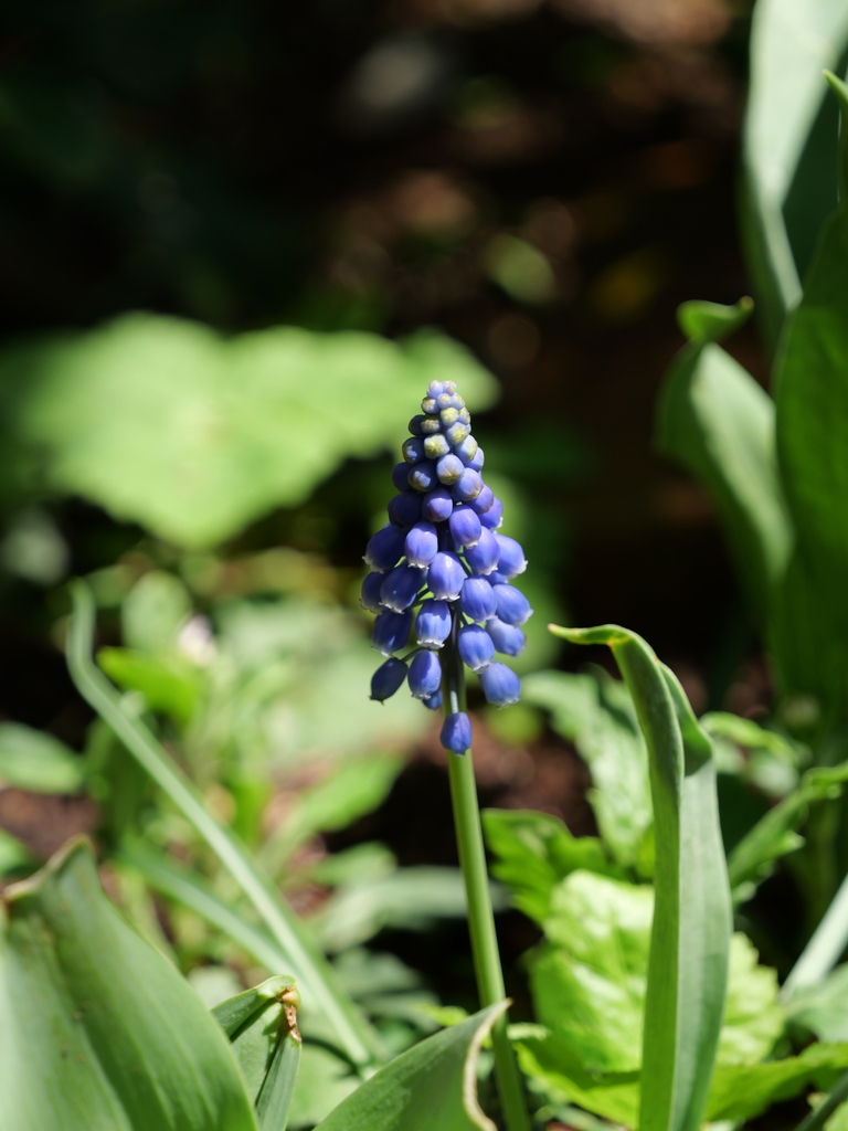 2025-04-04 12_37№(0496).JPG