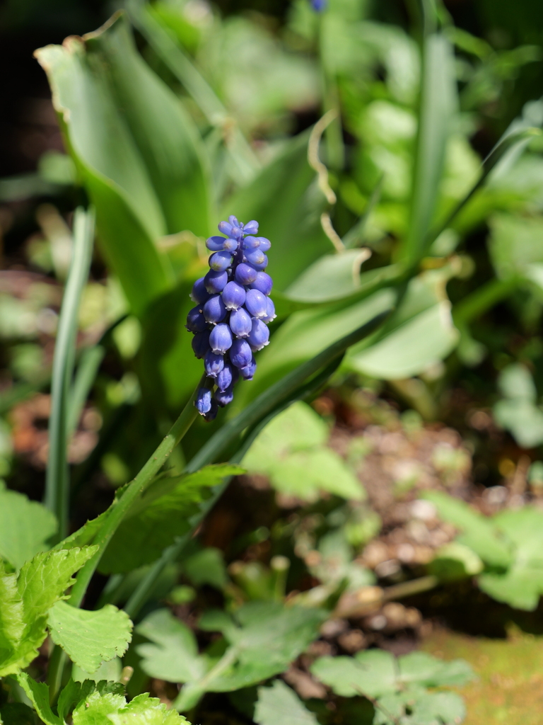 2025-04-04 12_37№(0497).JPG