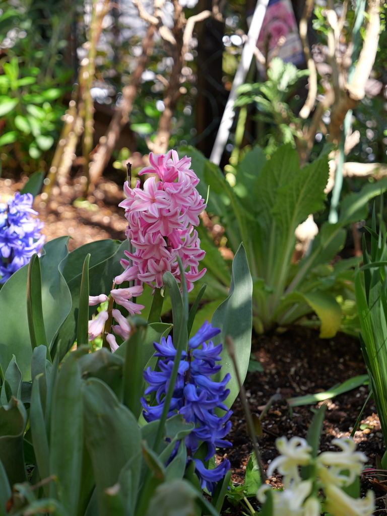 2025-04-04 12_37№(0503).JPG