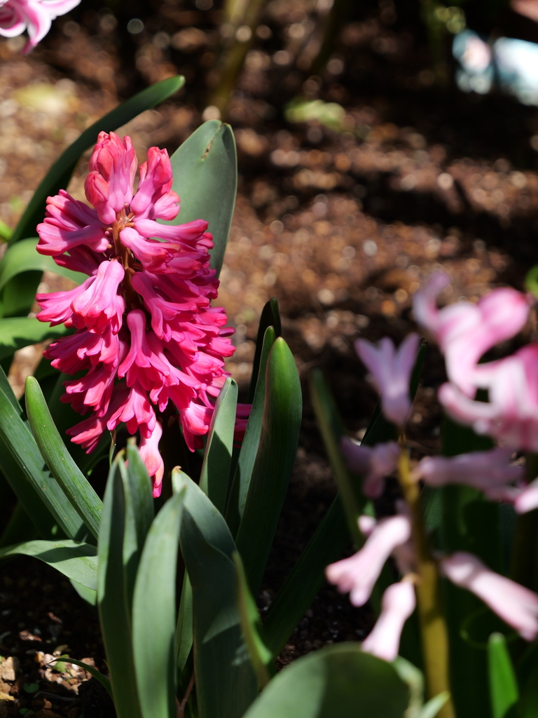 2025-04-04 12_37№(0508).JPG