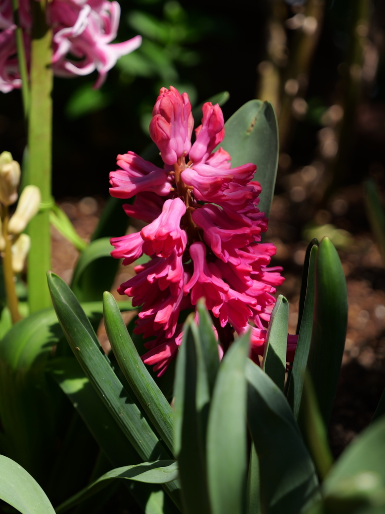 2025-04-04 12_37№(0509).JPG