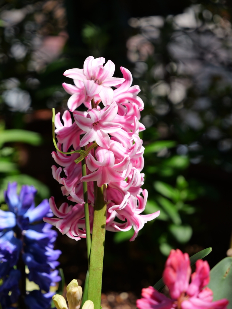 2025-04-04 12_37№(0510).JPG