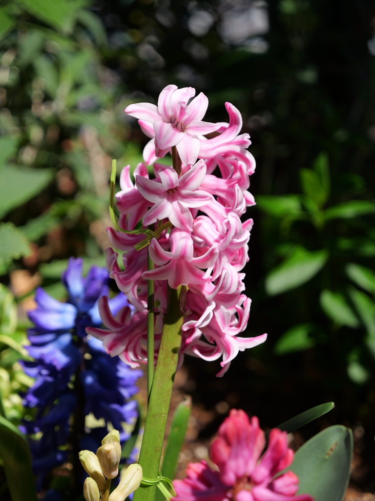 2025-04-04 12_37№(0511).JPG